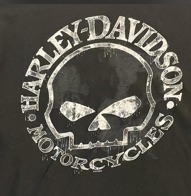 Harley-Davidson Thrashed Crystal River FL Short sleeve Shirt Men’s Large Black