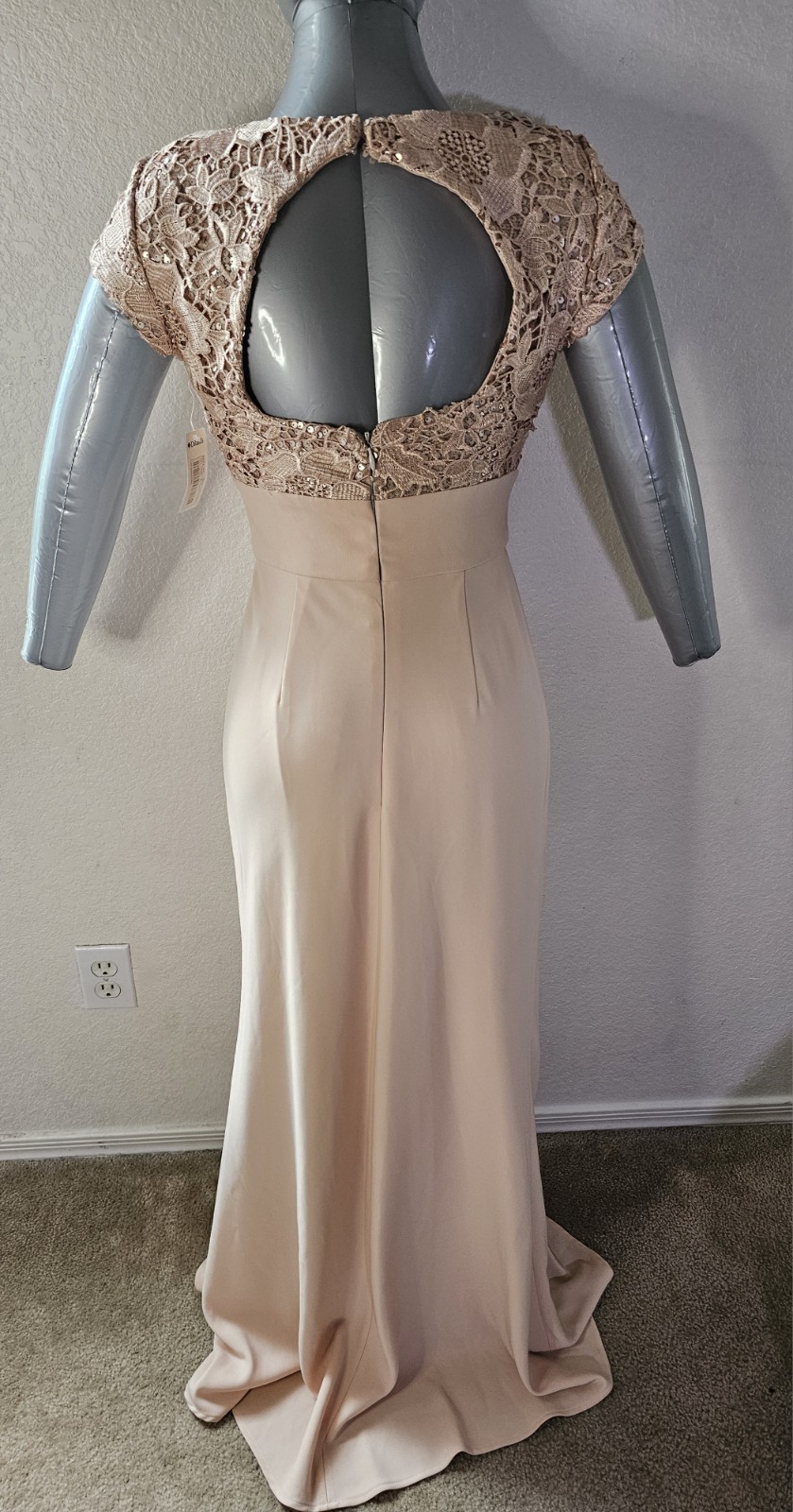 JS Collections Blush Lace-Bodice Maxi Dress. Weddings, Formal