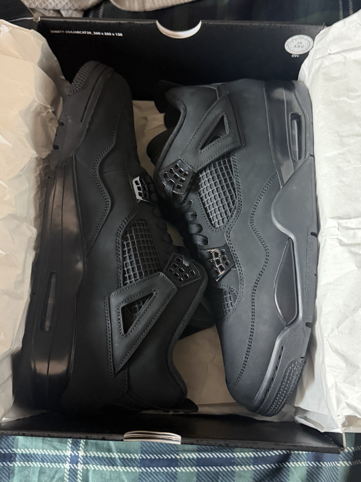 Jordan Air Jordan 4 Retro 2025 Black Cat Black/Black Mid Top Lace-Up FV5029-010