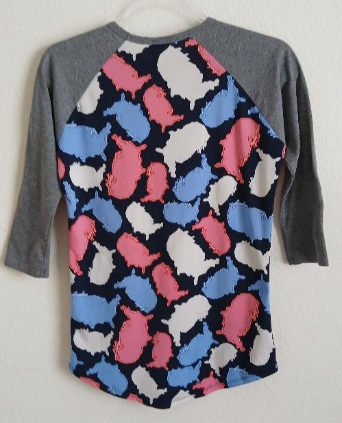 LuLaRoe Women’s XXS Raglan Shirt USA Pattern Multicolor Pre‑Owned