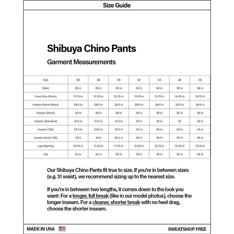 Pool House New York Shibuya Chino Pants 30×28