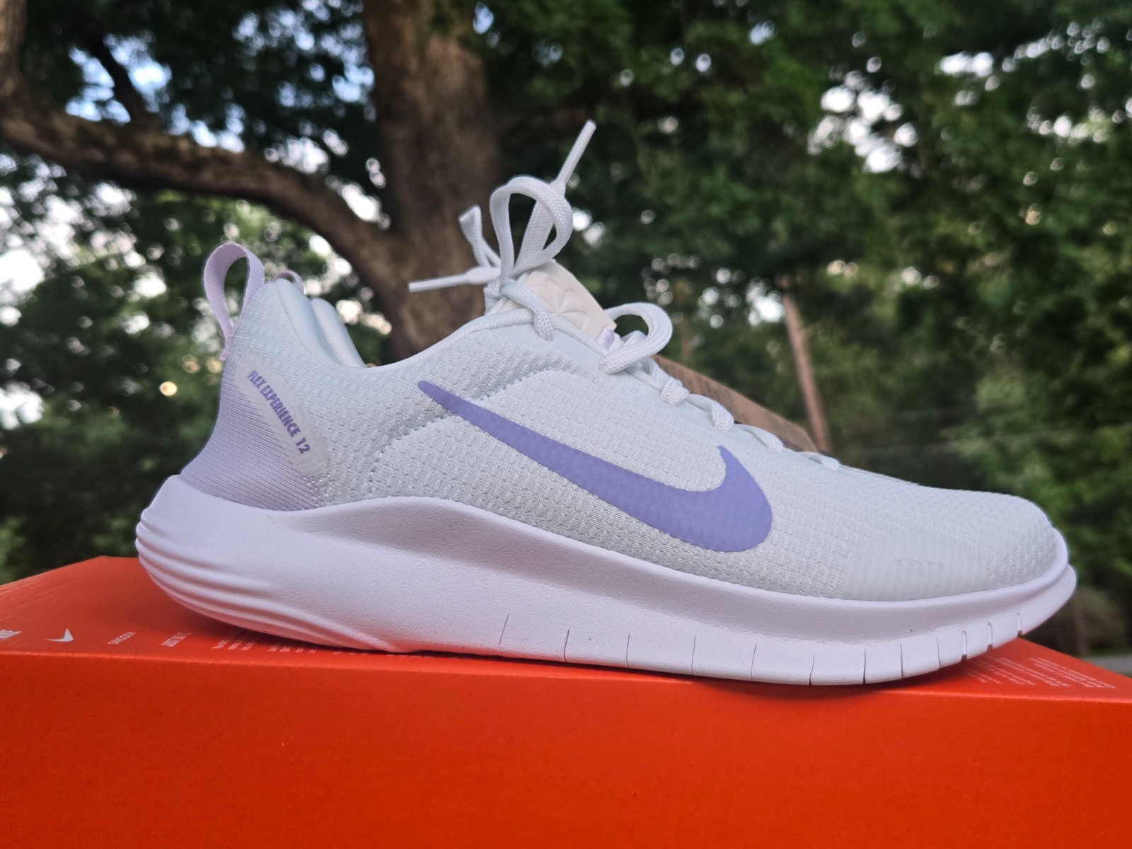 Multisize Nike Women’s Shoes Flex Experience RN12 White/Lilac Ice DV0746 105