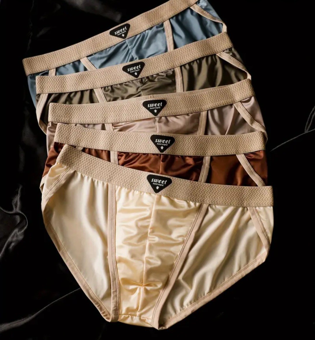 5 Pk Satin Ice Glossy Silk Men’s M L XL Stretch Nylon Low Rise Briefs Assorted