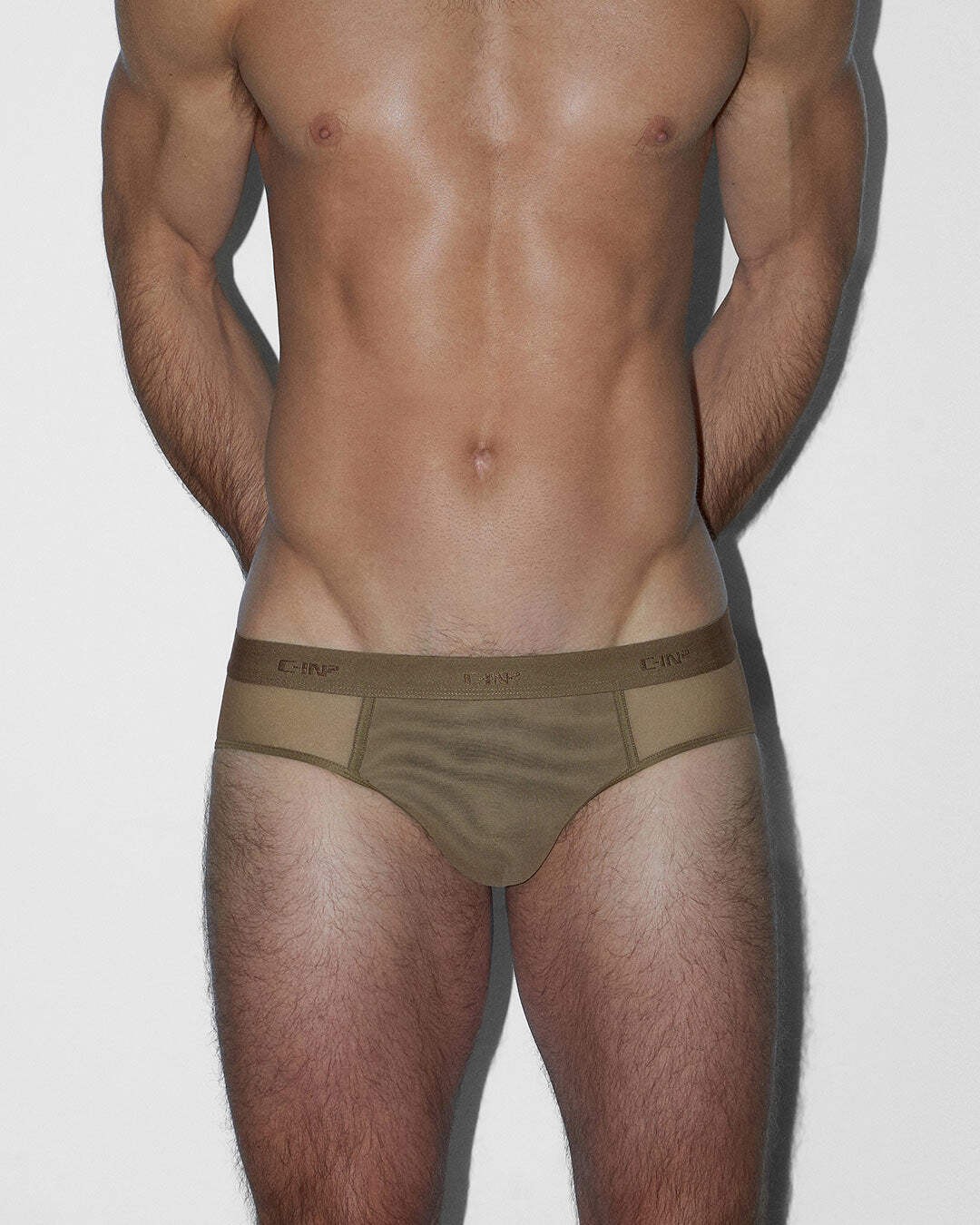C-IN2 Sheer Low Rise Brief – Dark Nude Nylon Mesh Brief