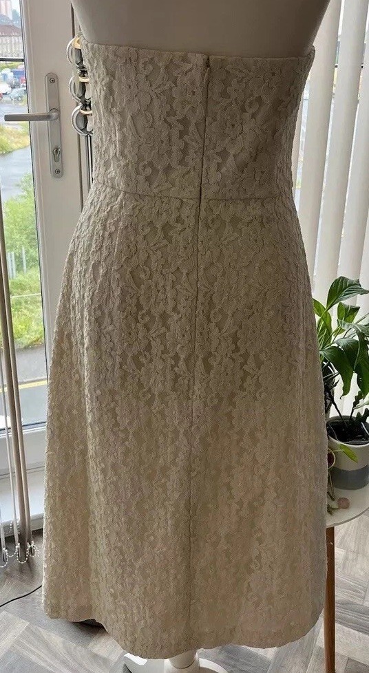 Ted Baker cream lace midi occasion dress bridal wedding pencil Langley 3 12 £229